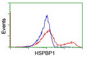 HSPBP1 Antibody in Flow Cytometry (Flow)