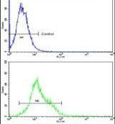 HSP105 Antibody in Flow Cytometry (Flow)