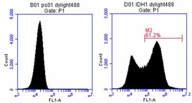 IDH1 Antibody in Flow Cytometry (Flow)