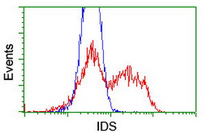 IDS Antibody in Flow Cytometry (Flow)