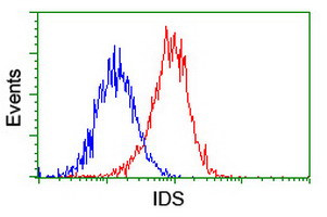 IDS Antibody in Flow Cytometry (Flow)