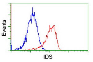 IDS Antibody in Flow Cytometry (Flow)