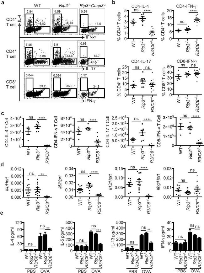 IL-4 Antibody in Flow Cytometry (Flow)