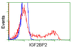 IGF2BP2 Antibody in Flow Cytometry (Flow)