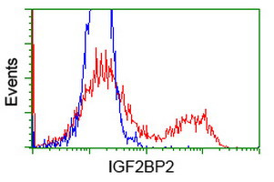 IGF2BP2 Antibody in Flow Cytometry (Flow)