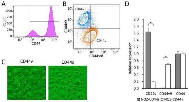 CD44std Antibody in Flow Cytometry (Flow)