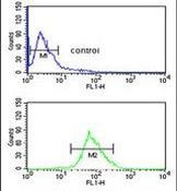 ISLR Antibody in Flow Cytometry (Flow)