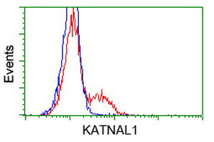 KATNAL1 Antibody in Flow Cytometry (Flow)