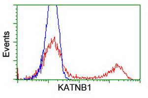 KATNB1 Antibody in Flow Cytometry (Flow)