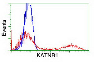 KATNB1 Antibody in Flow Cytometry (Flow)