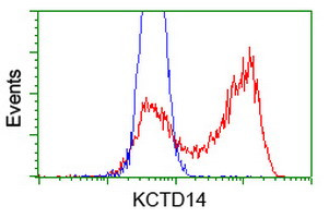 KCTD14 Antibody in Flow Cytometry (Flow)
