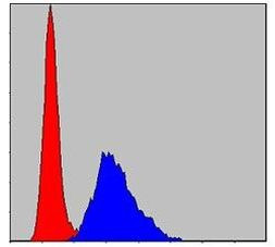 KID Antibody in Flow Cytometry (Flow)