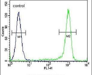 KLF17 Antibody in Flow Cytometry (Flow)