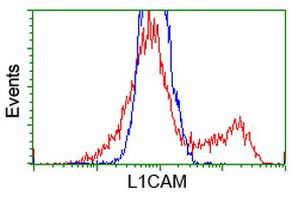 L1CAM Antibody in Flow Cytometry (Flow)