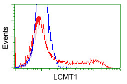 LCMT1 Antibody in Flow Cytometry (Flow)