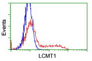 LCMT1 Antibody in Flow Cytometry (Flow)