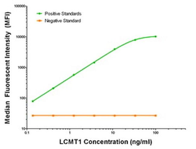 LCMT1 Antibody in Luminex (LUM)