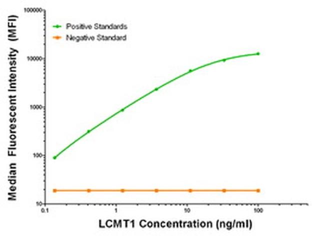 LCMT1 Antibody in Luminex (LUM)