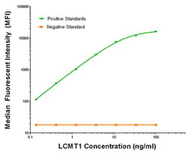 LCMT1 Antibody in Luminex (LUM)