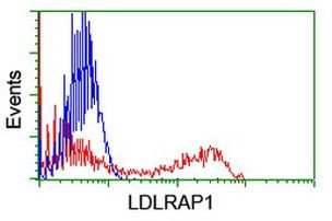 LDLRAP1 Antibody in Flow Cytometry (Flow)