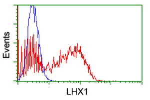 LHX1 Antibody in Flow Cytometry (Flow)