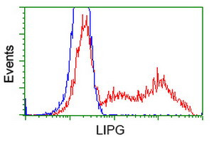 LIPG Antibody in Flow Cytometry (Flow)