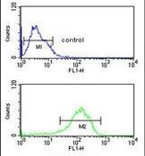 LSP1 Antibody in Flow Cytometry (Flow)