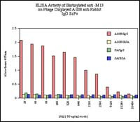 M13 Phage coat protein Antibody in Flow Cytometry (Flow)