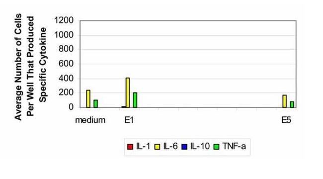 IL-1 beta Antibody in ELISA (ELISA)