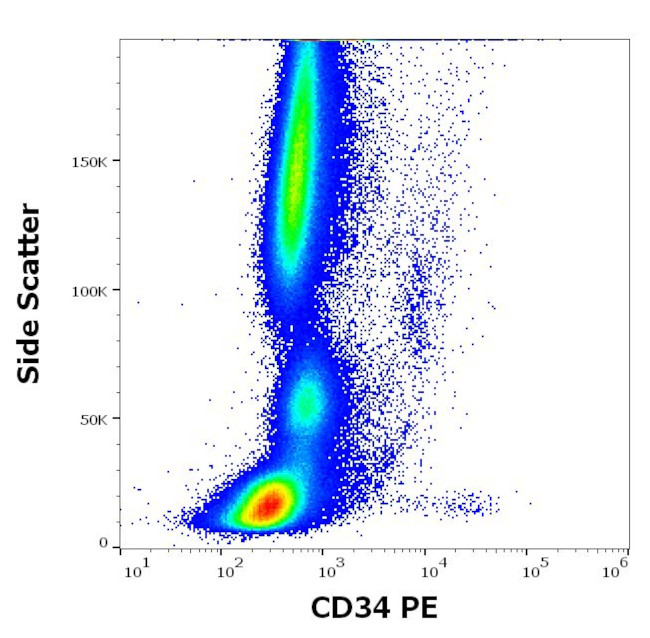 CD34 Monoclonal Antibody (QBEND/10), PE (MA1-10205)