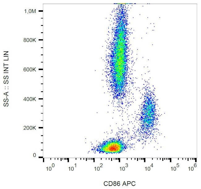 CD86 Monoclonal Antibody (BU63), APC (MA1-10294)
