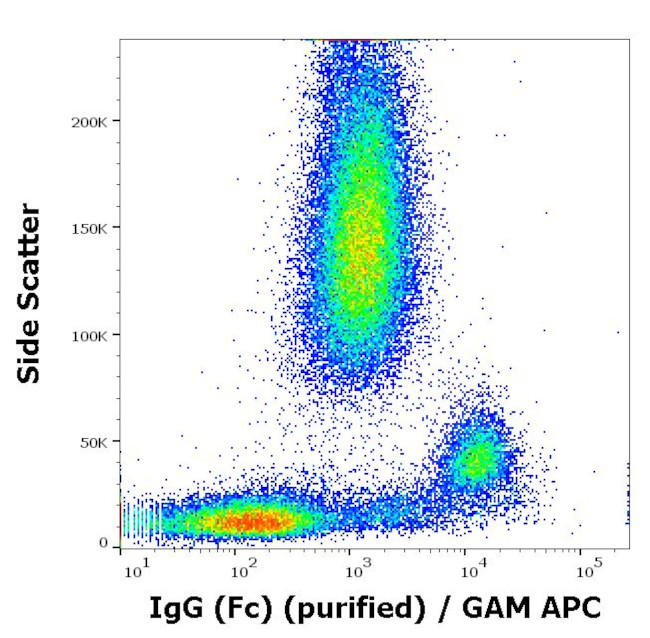 Human IgG Fc Secondary Antibody in Flow Cytometry (Flow)