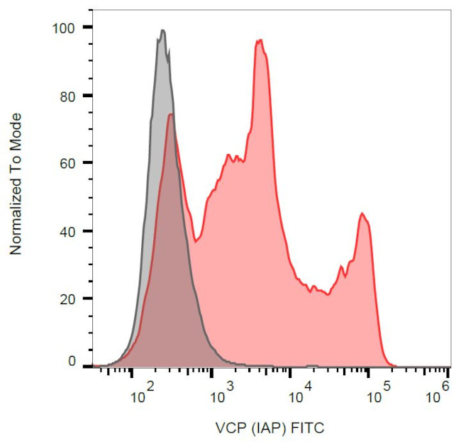 VCP Antibody in Flow Cytometry (Flow)