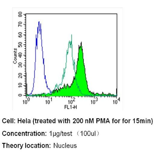 Phospho-CREB/ATF1 (Ser133, Ser63) Antibody in Flow Cytometry (Flow)