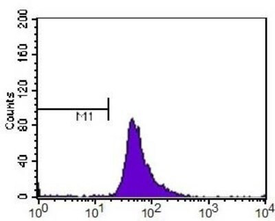 HIF-2 alpha Antibody in Flow Cytometry (Flow)