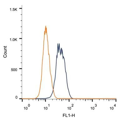 BRCA1 Antibody in Flow Cytometry (Flow)