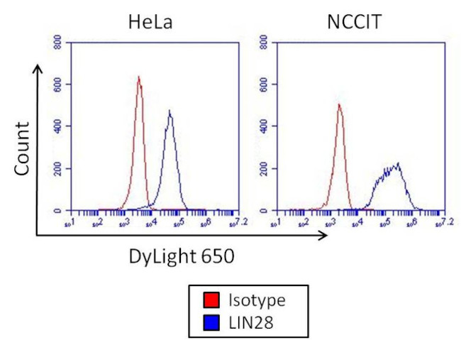 Mouse IgG2a Isotype Control in Flow Cytometry (Flow)