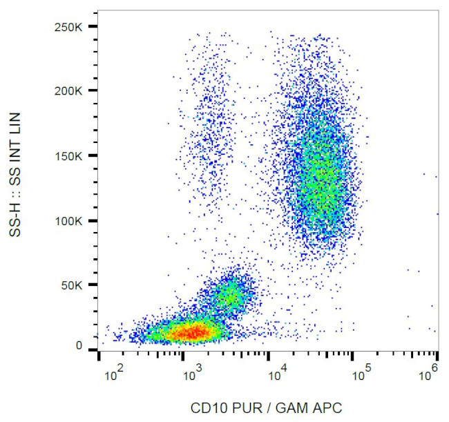 CD10 Antibody in Flow Cytometry (Flow)