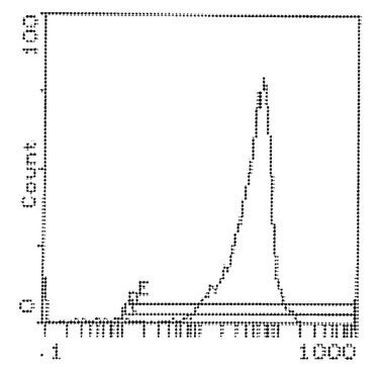 CD90 Antibody in Flow Cytometry (Flow)