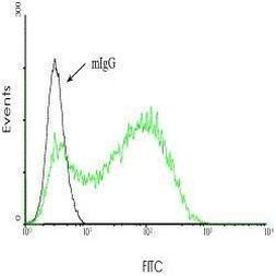 ACE Antibody in Flow Cytometry (Flow)