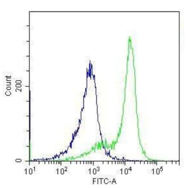 TLR4 Antibody in Flow Cytometry (Flow)