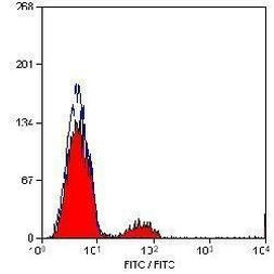 CD21 Antibody in Flow Cytometry (Flow)