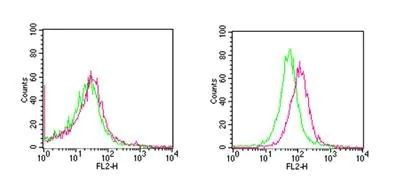 RANK Antibody in Flow Cytometry (Flow)