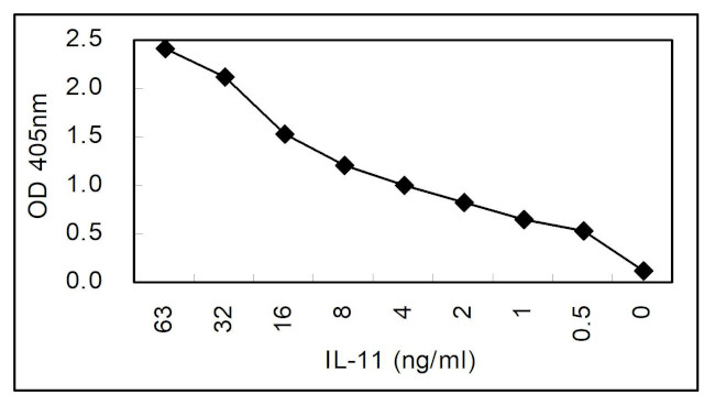 IL-11 Antibody in ELISA (ELISA)