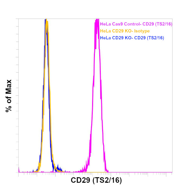 ITGB1 Antibody