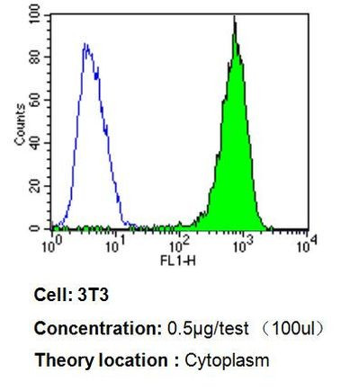 p23 Antibody in Flow Cytometry (Flow)