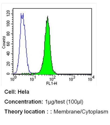 PMCA ATPase Antibody in Flow Cytometry (Flow)