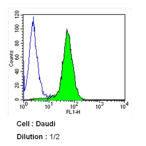 CD95 (APO-1/Fas) Antibody in Flow Cytometry (Flow)