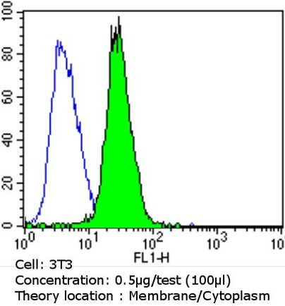 EGFR Antibody in Flow Cytometry (Flow)