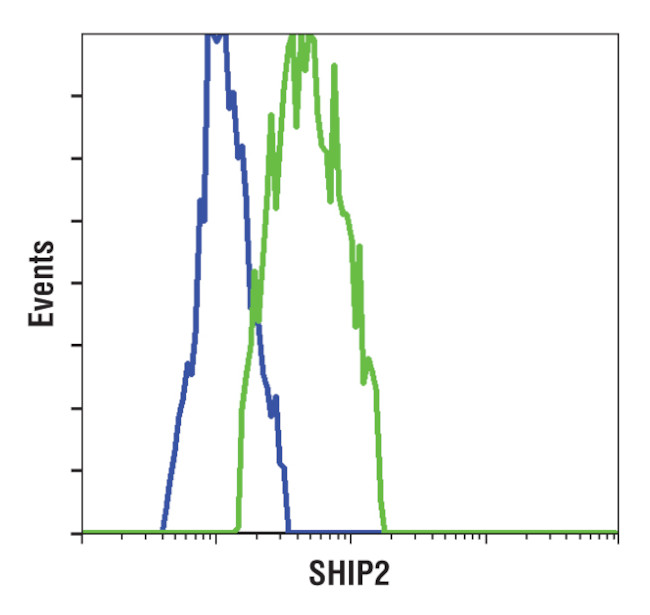 SHIP2 Antibody in Flow Cytometry (Flow)